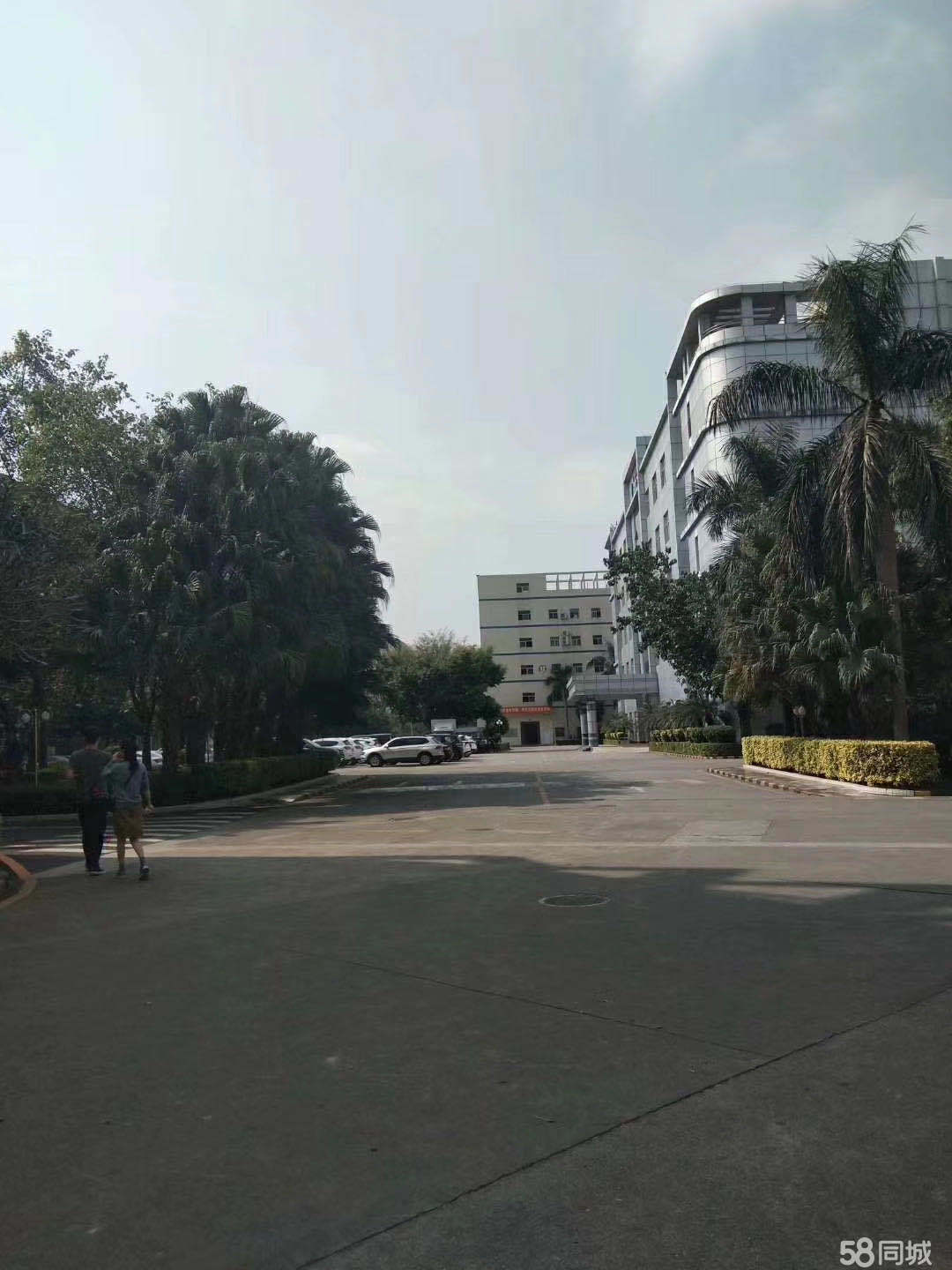 普工、生產(chǎn)工、操作工、裝配工、維修員、包裝工、插件、組長、拉長