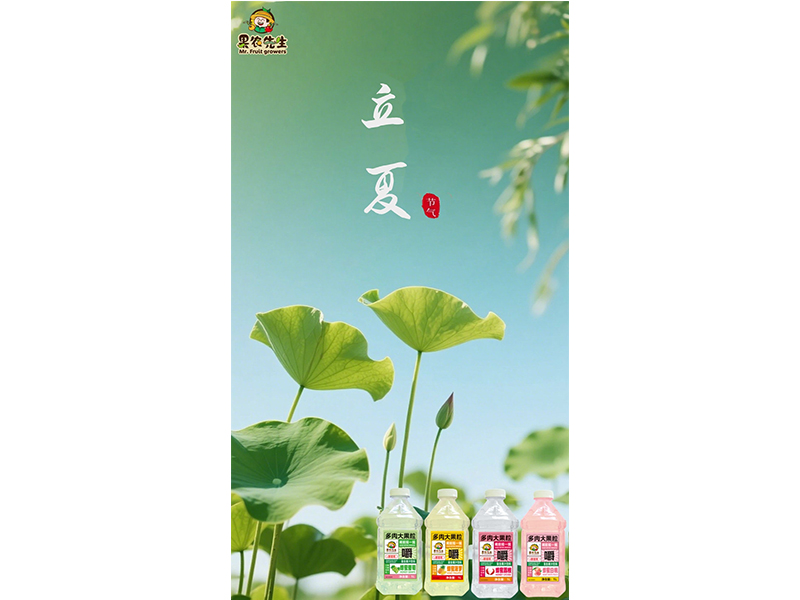 春之暮 夏之始 萬(wàn)物并秀