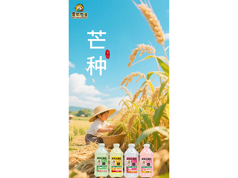 仲夏嬋長(zhǎng)鳴 芒種正當(dāng)時(shí)