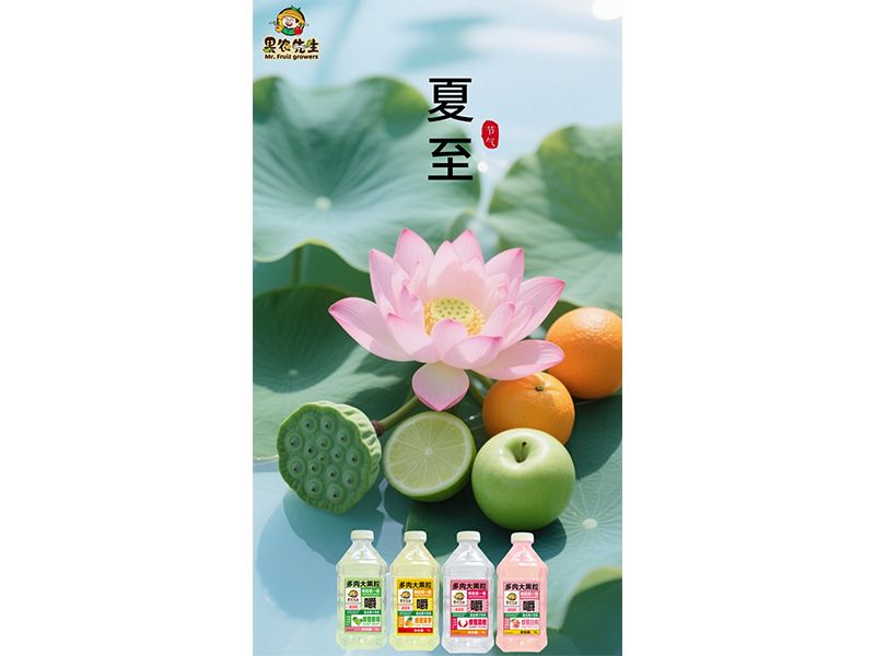 驕陽(yáng)綠意濃 恰逢夏至?xí)r